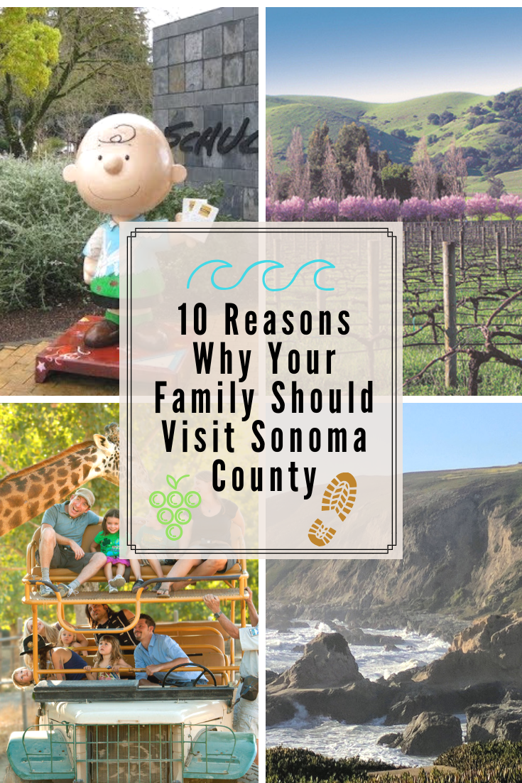 10 Reasons Why Your Family Should Visit Sonoma County