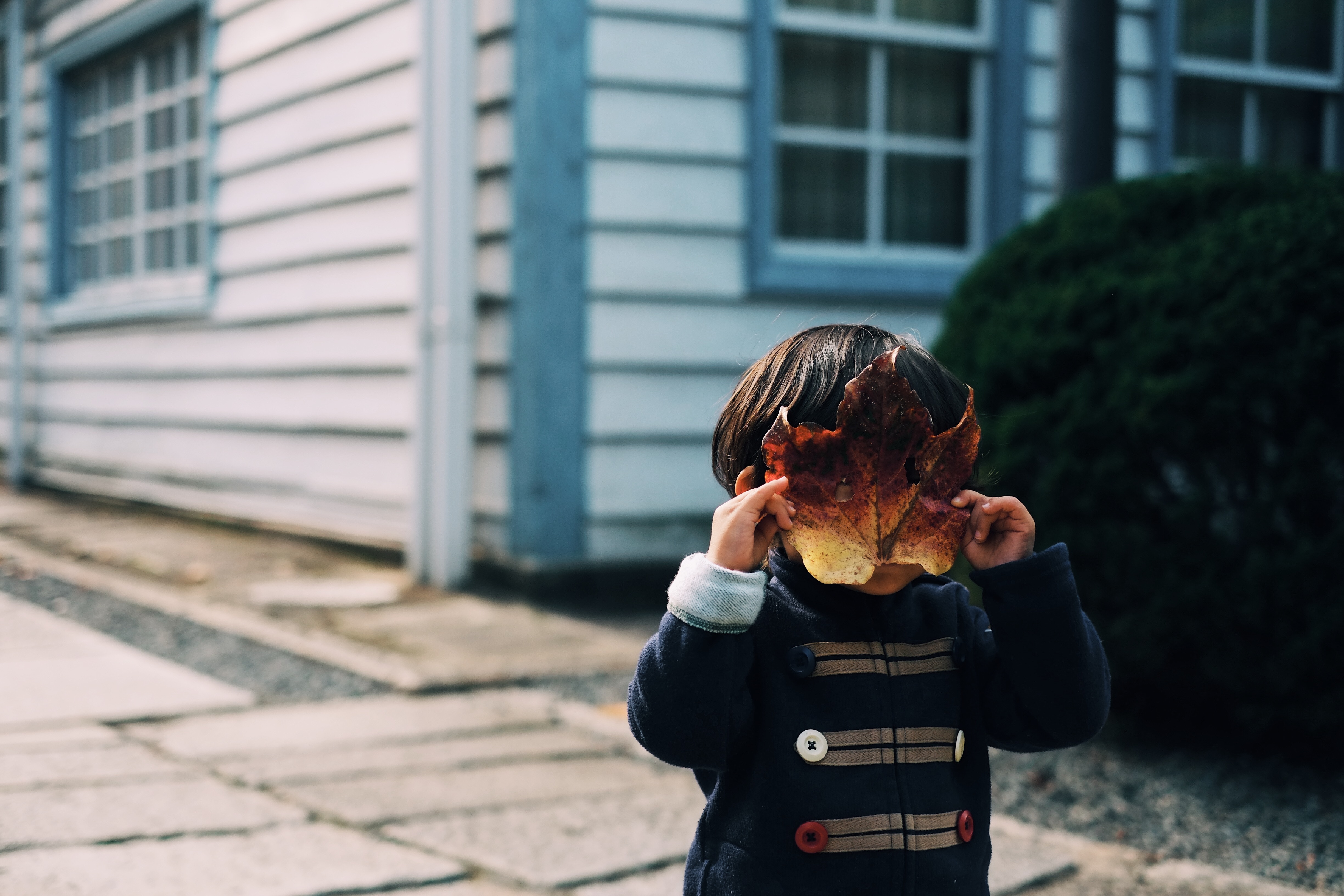 Little boy standing in front of a blue and white house covering his face with a leaf.