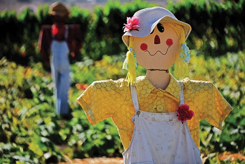 girl scarecrow